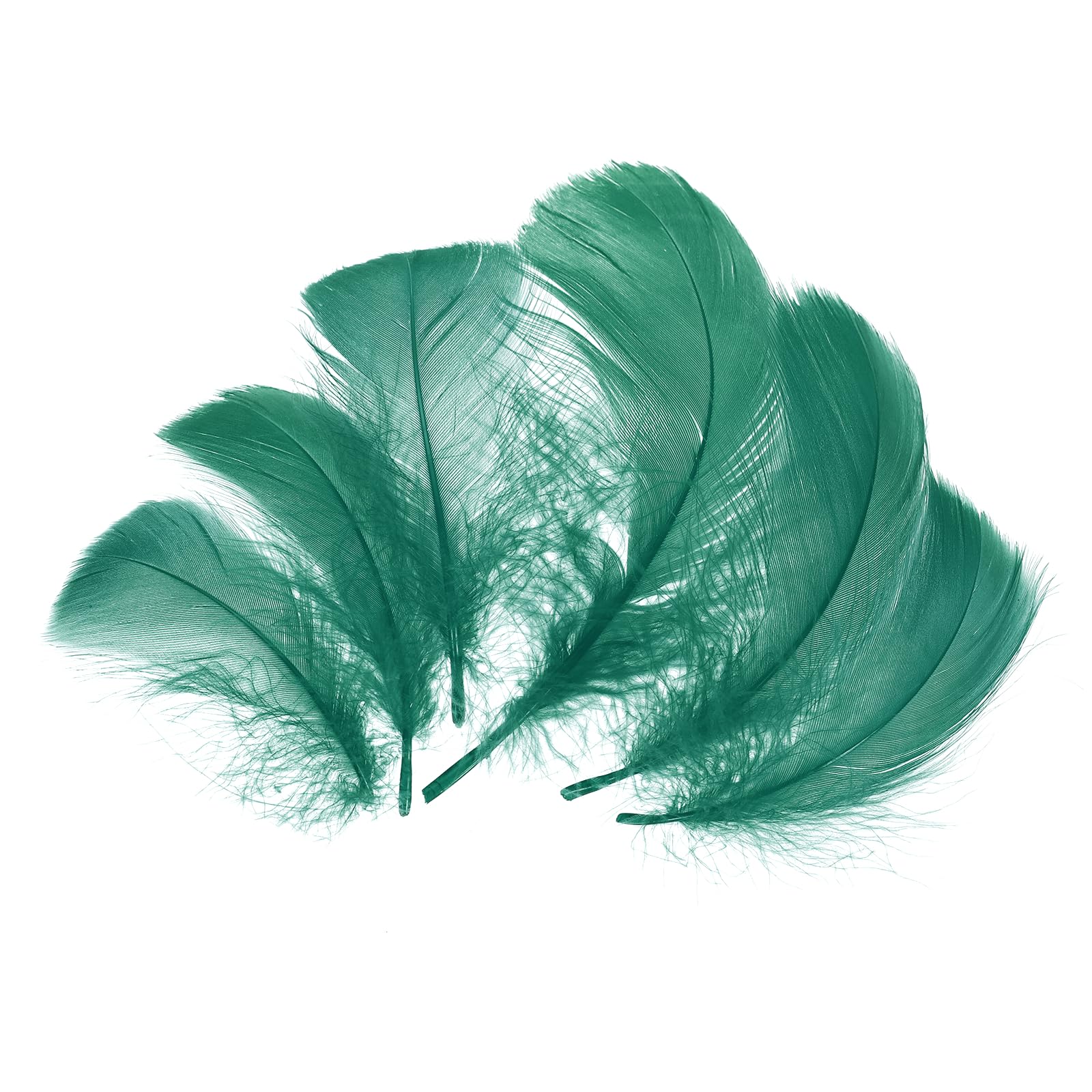 sourcing map 300 Pcs Forest Green Craft Feathers, 2-4 Inch Colored Feathers for Crafting, Fluffy Feather Bulk for DIY Crafts, Dream Catcher Supplies, Wedding Party Decoration