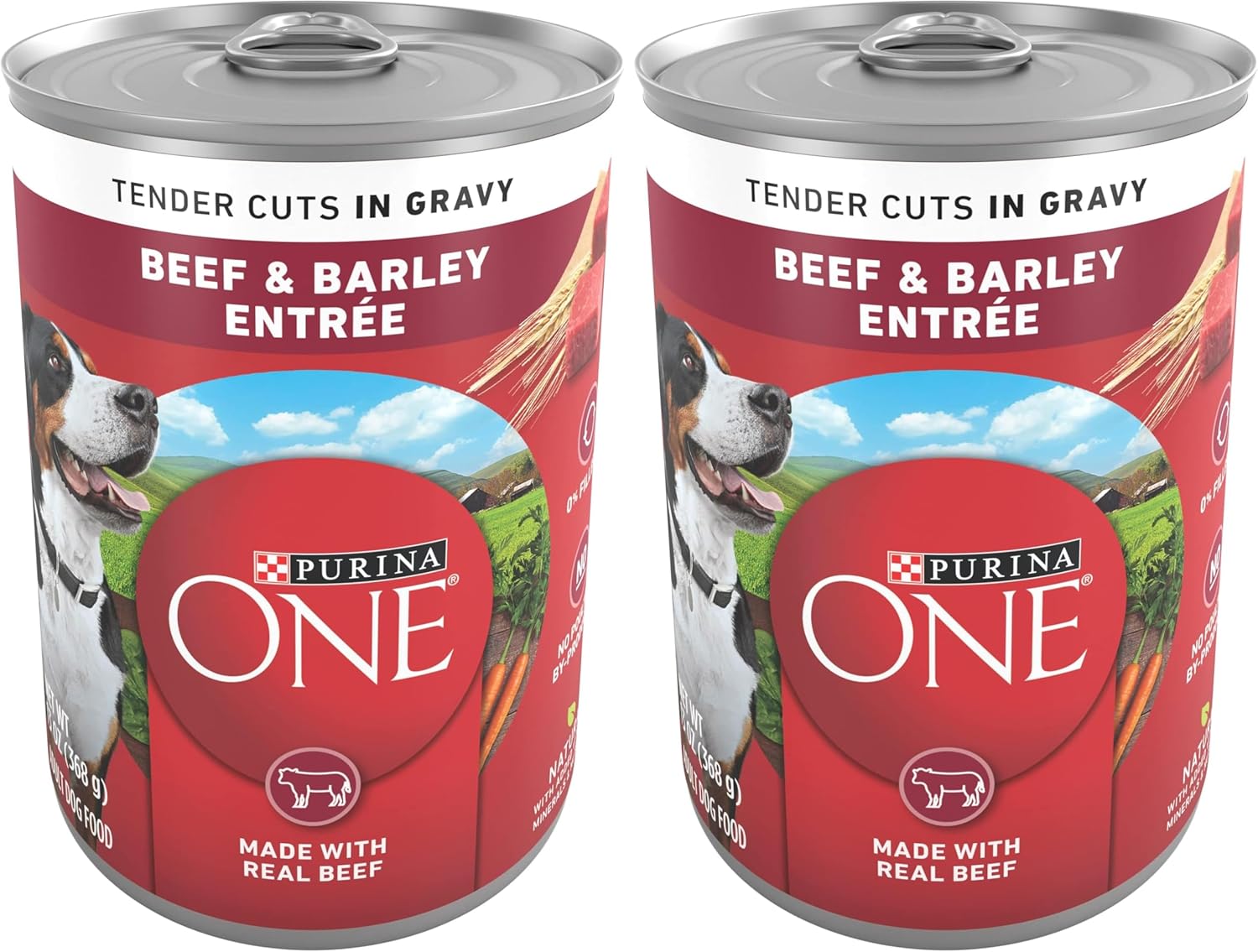 Purina ONE Natural Wet Dog Food Gravy, Tender Cuts in Gravy Beef and Barley Entrée - 13 Ounce (Pack of 24)