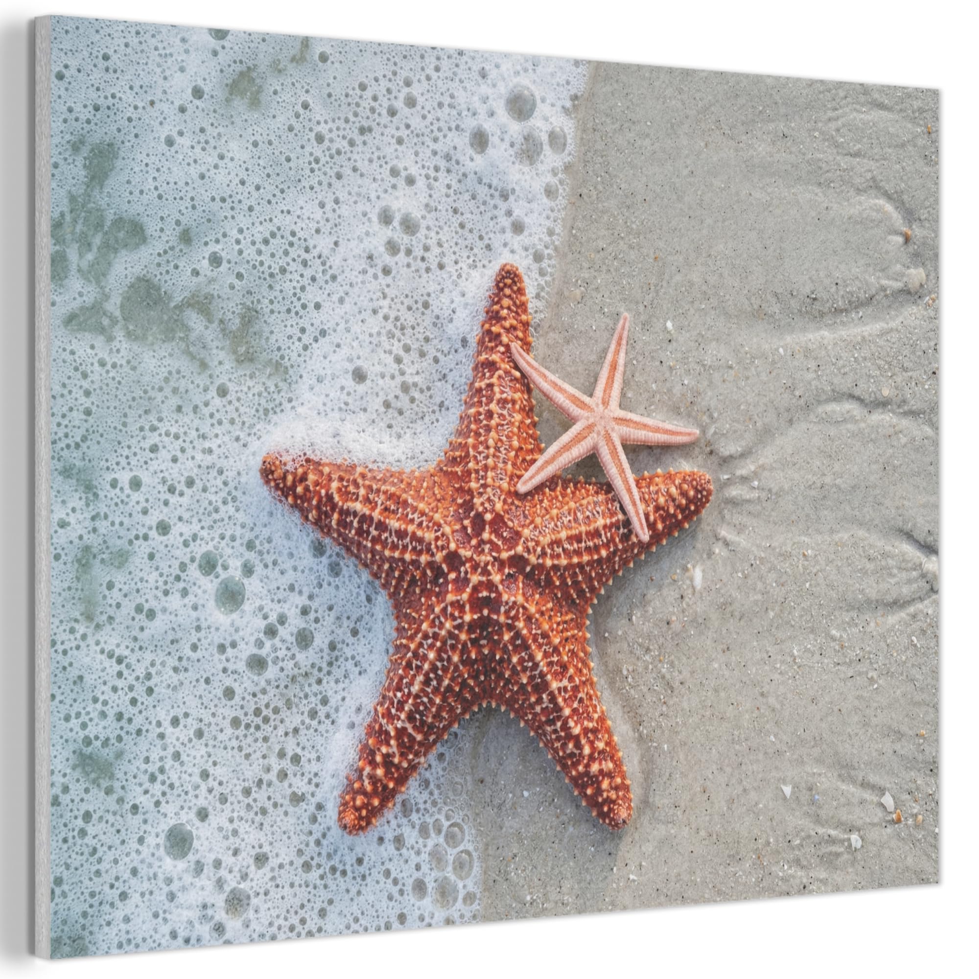 MuchoWow© Felt Panel 100x70 cm Room Style Piece Wallfillers Visual Display Decoration Wall Art Starfish - Beach - Sea