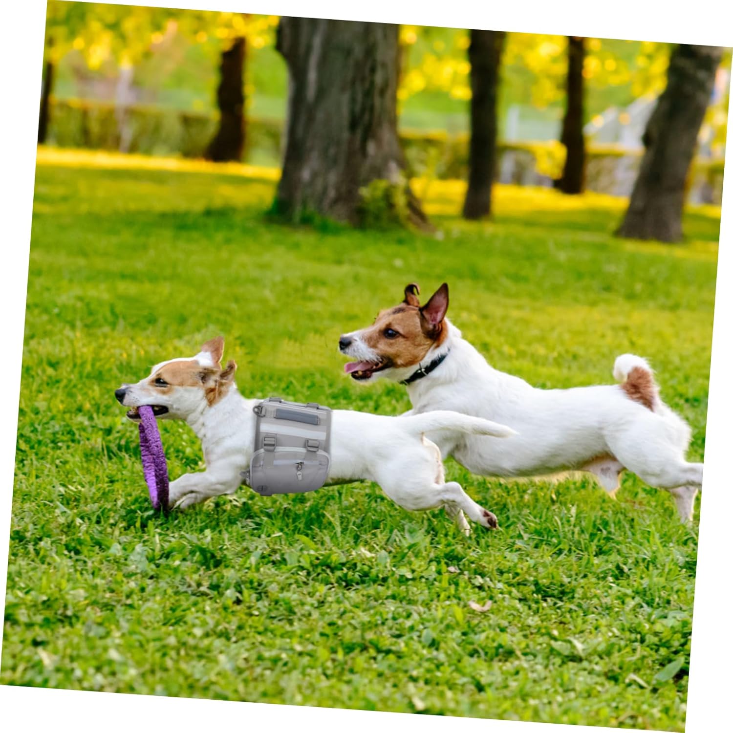 Happyyami Portable Dog Self Backpack for Outdoor Travel Stylish Durable Pet Carrier Bag for Large Dogs Gray