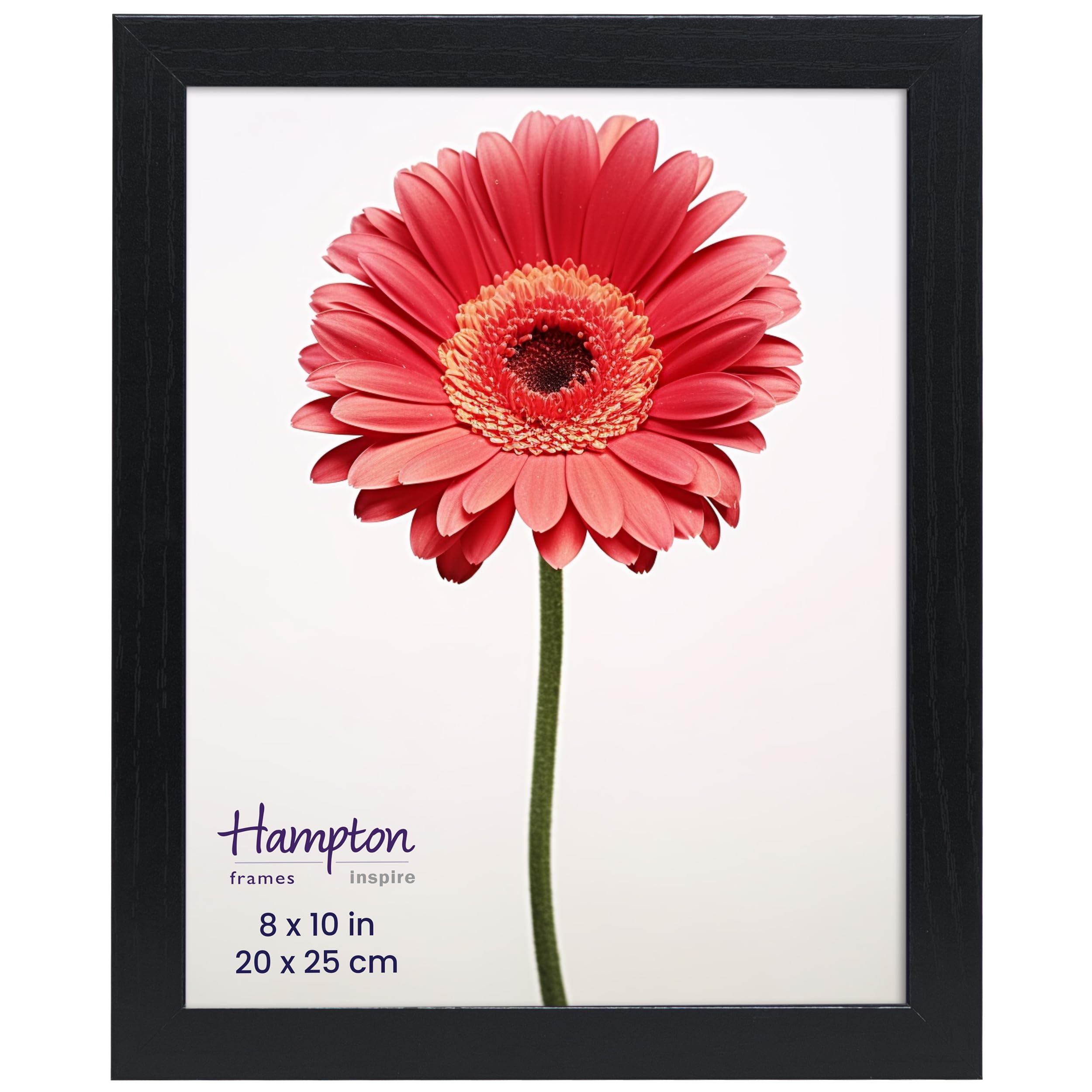 inspire by Hampton Frames, Black, 8x10 (20x25cm)