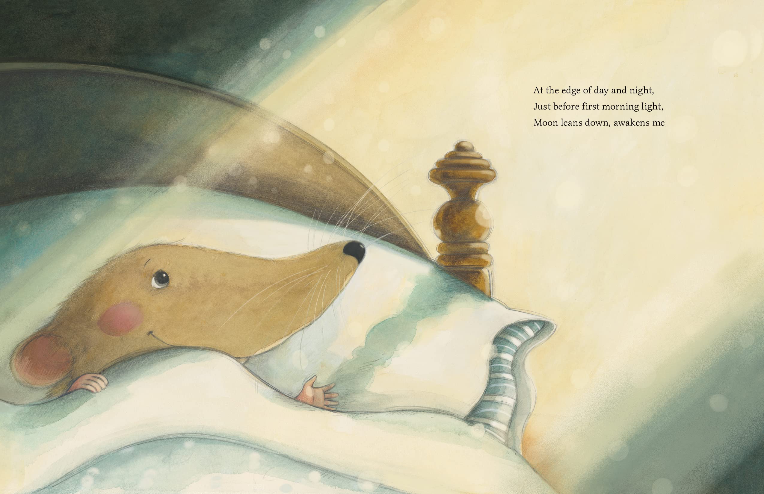 While Everyone Is Sleeping - Image 2