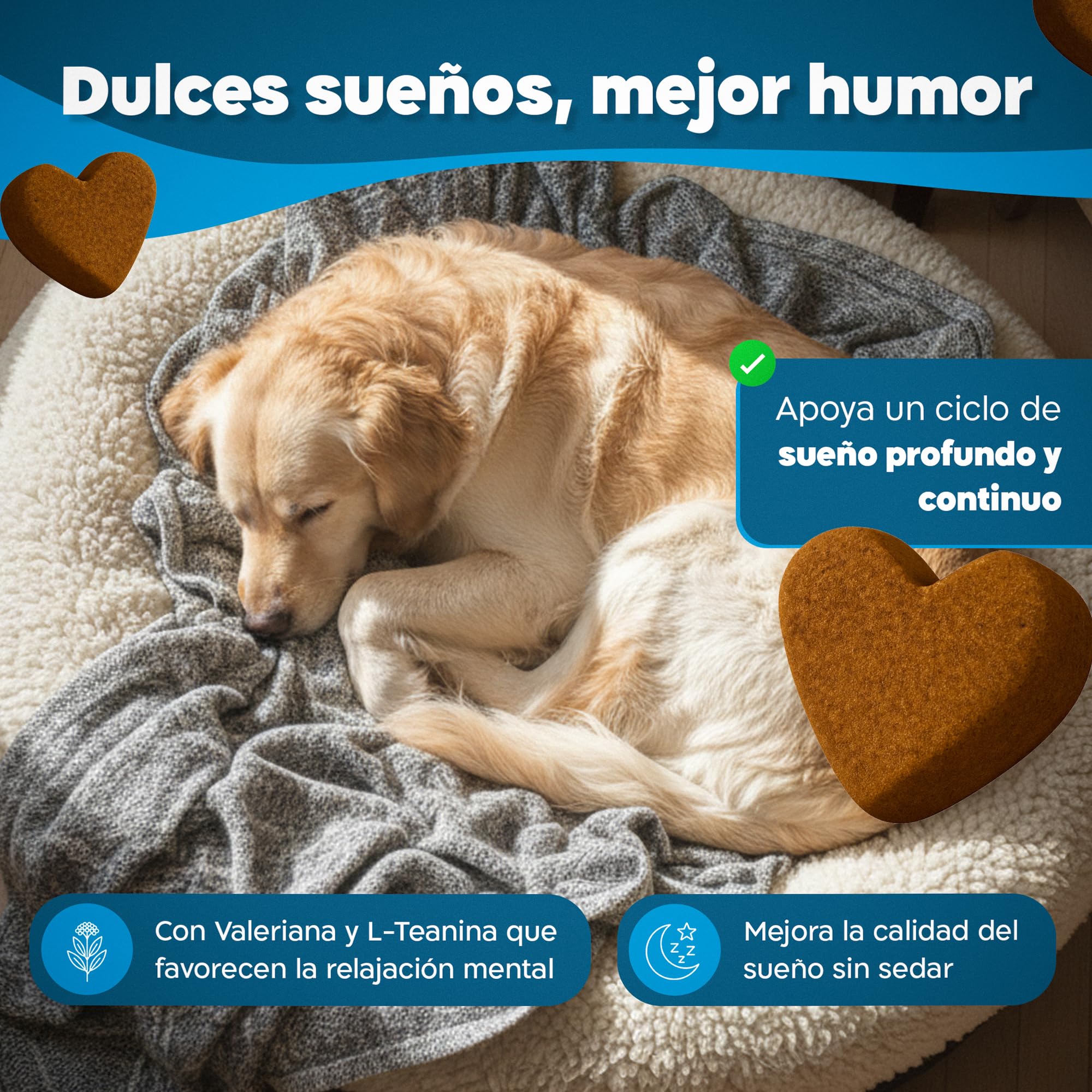 Calmante Perros Bocados Ansiedad Separación Estrés Petardos Triptófano GMP+ | Suplemento Natural con Valeriana Ashwagandha Magnesio Melisa L-Triptófano 5 Activos Naturales para Calma Emocional Blandos