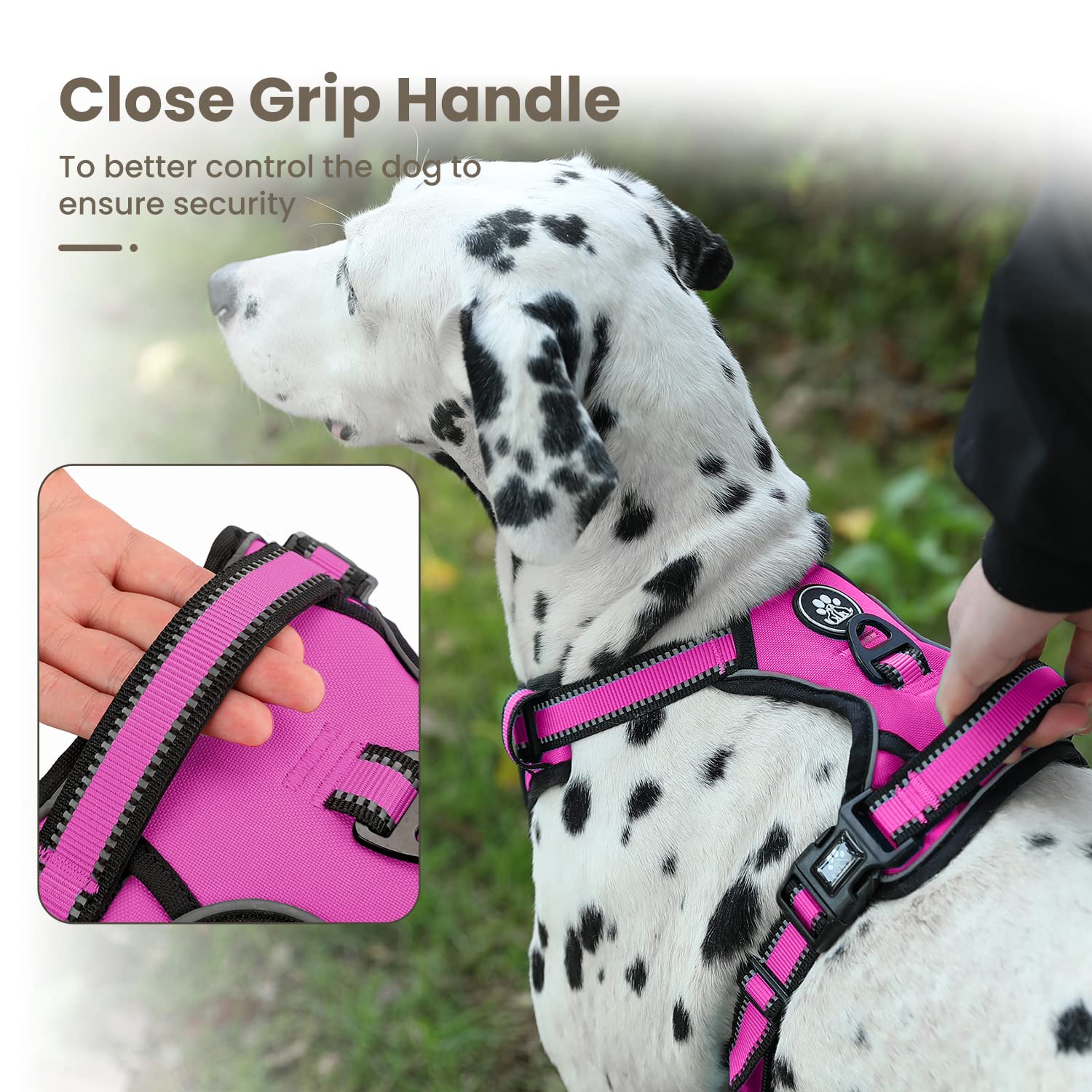 Arnés Para Perro Antitirones Tipo H - Ajustable, Acolchado Y Reflectante, Talla M Para Cuello 35-49 Cm, Ideal Para Paseos Seguros