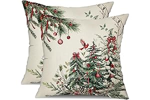 DFXSZ Christmas Throw Pillow Covers: Festive Winter Décor