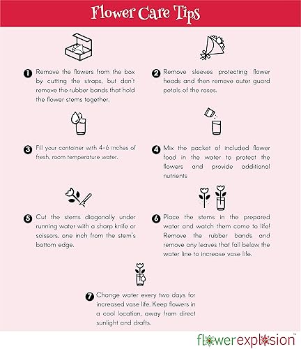 Miniatura 8 de Rosas arcoíris recién cortadas de Flower Explosion