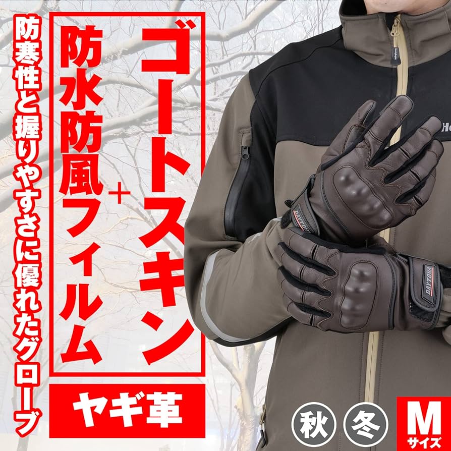 Amazon | デイトナ(Daytona) バイク グローブ 冬 革(ヤギ革