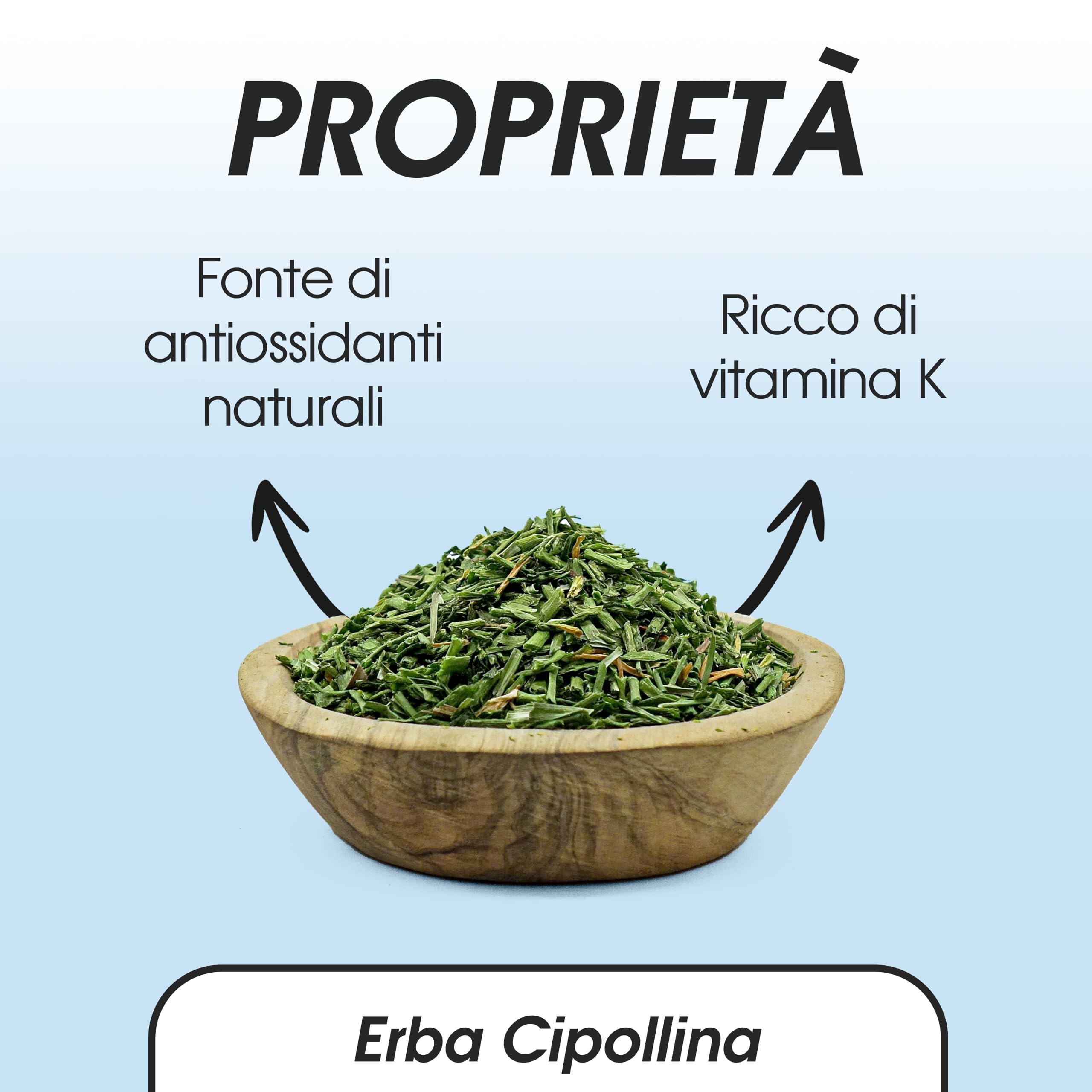 Erba Cipollina 600 gr - Cipollina Essiccata - Cipolline Sfuso - Erbe Naturali (600 gr)