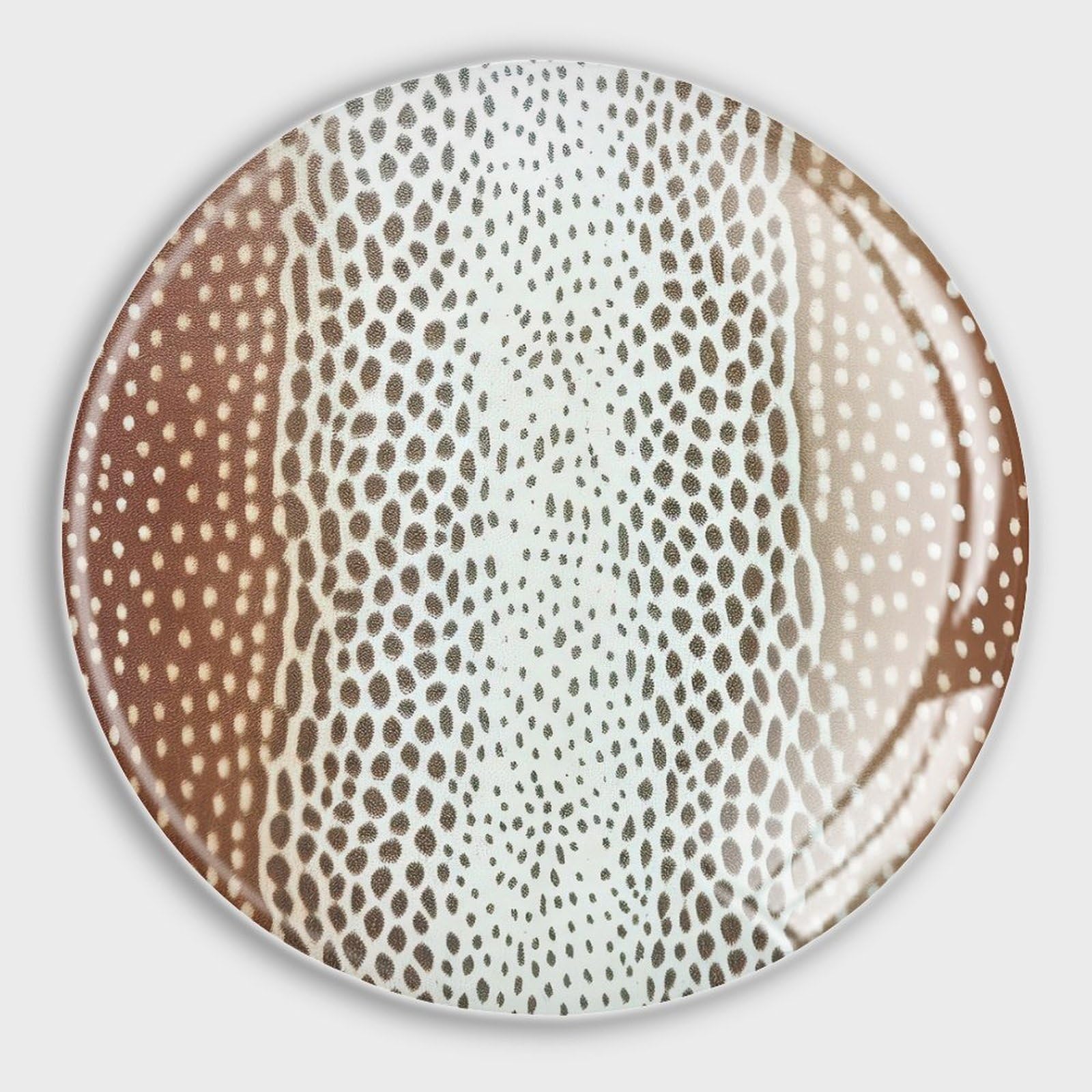 Aimants de réfrigérateur antilope en verre lot de 4 pour tableau blanc et casier