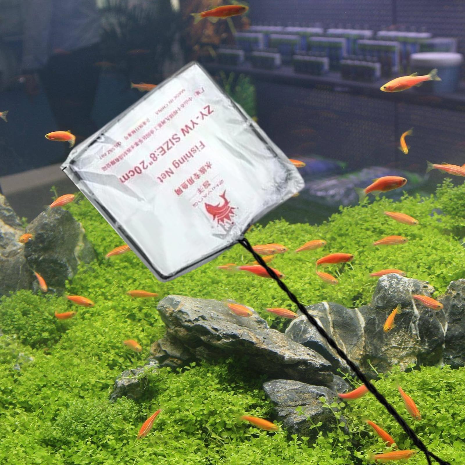 PANGBOER Paquete De 10 Cucharas Limpieza Fina Profesionales para Acuarios Red Peces Varias Ocasiones Hogar Y Oficina Red Pesca Peceras