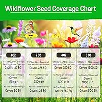 Vista 5 de NatureZ Edge Mezcla de semillas de flores silvestres – 2 onzas, 85,000 semillas, 35 variedades de semillas de flores perennes y anuales para plantar