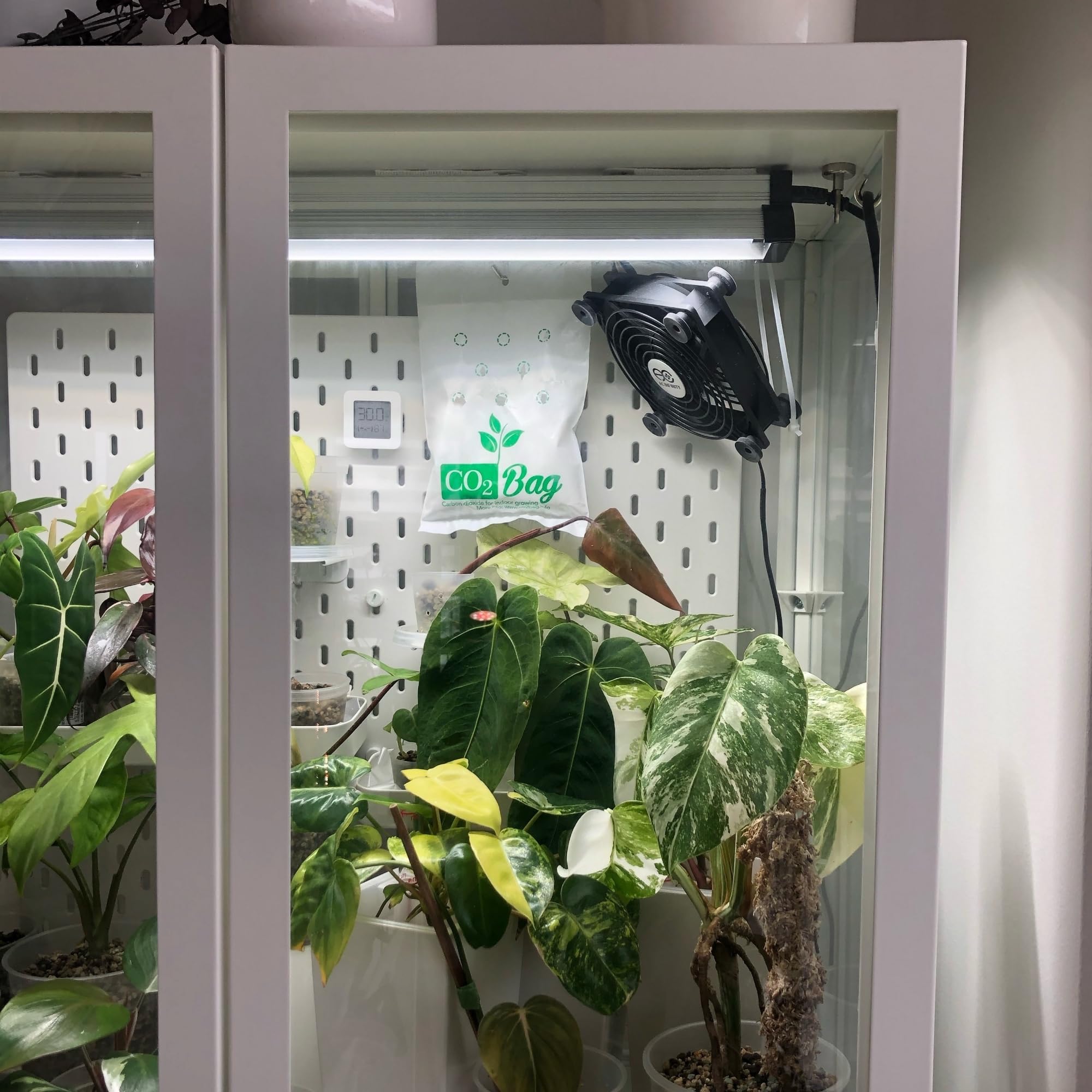 CO2BAG® XL pour Une Croissance Efficace | Améliore Le Goût, la Couleur & Le Rendement | Compact & sans Entretien pour la Culture Intérieure et Les Serres. -2-Pack-