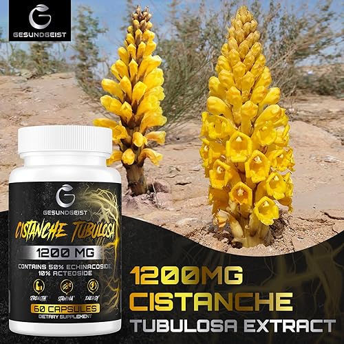 Miniatura 3 de Extracto de Cistanche Tubulosa -1200 mg por porción, 50% equinacósido, 10% acteósido, suplemento energético natural para fuerza, rendimiento,