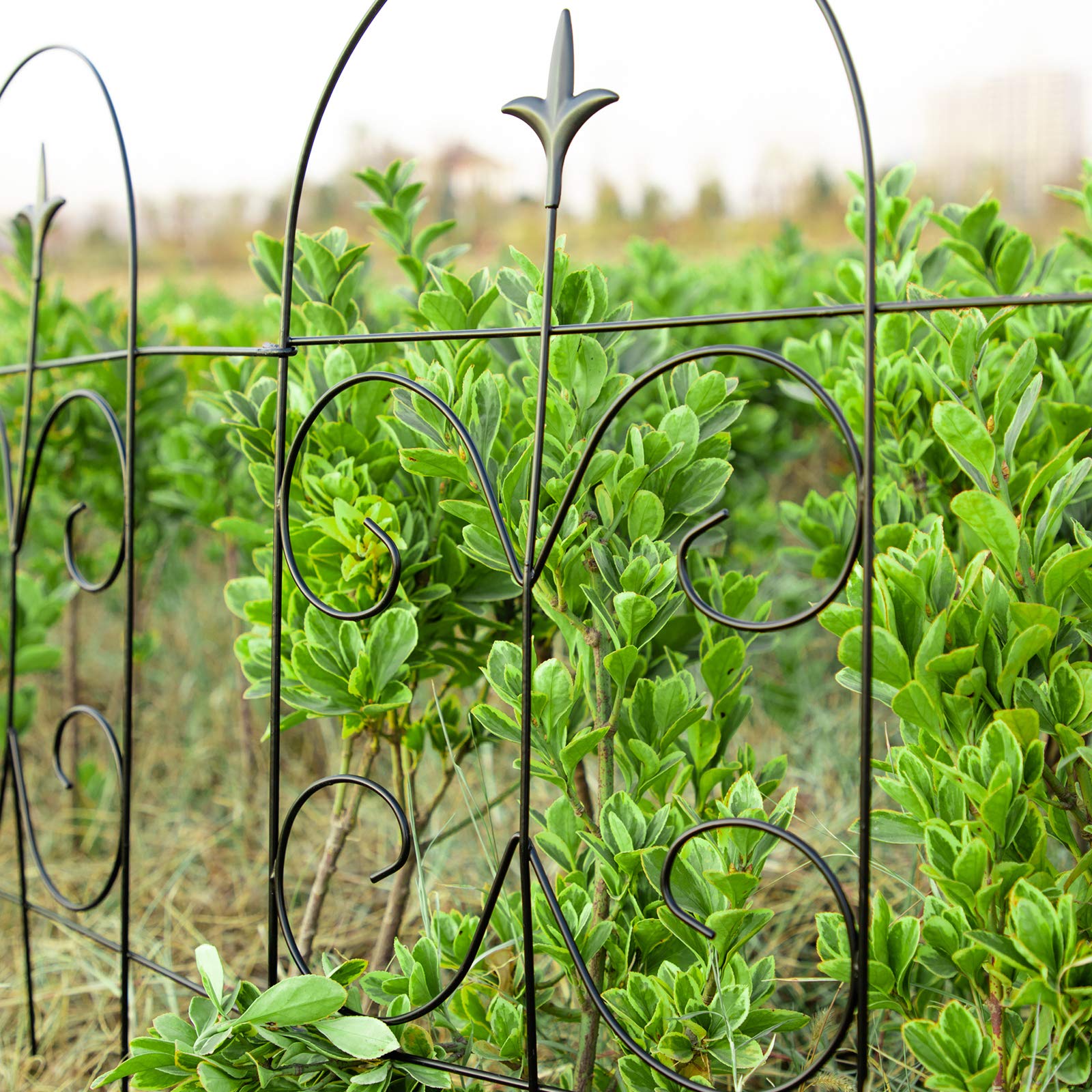 Amagabeli Decorative Garden Fence 24in x 10ft Garden Fencing 8 Panels Rustproof Iron Garden Border Fence Edging Metal Wire Fencing Animal Barrier Flower Bed Outdoor Patio ET304