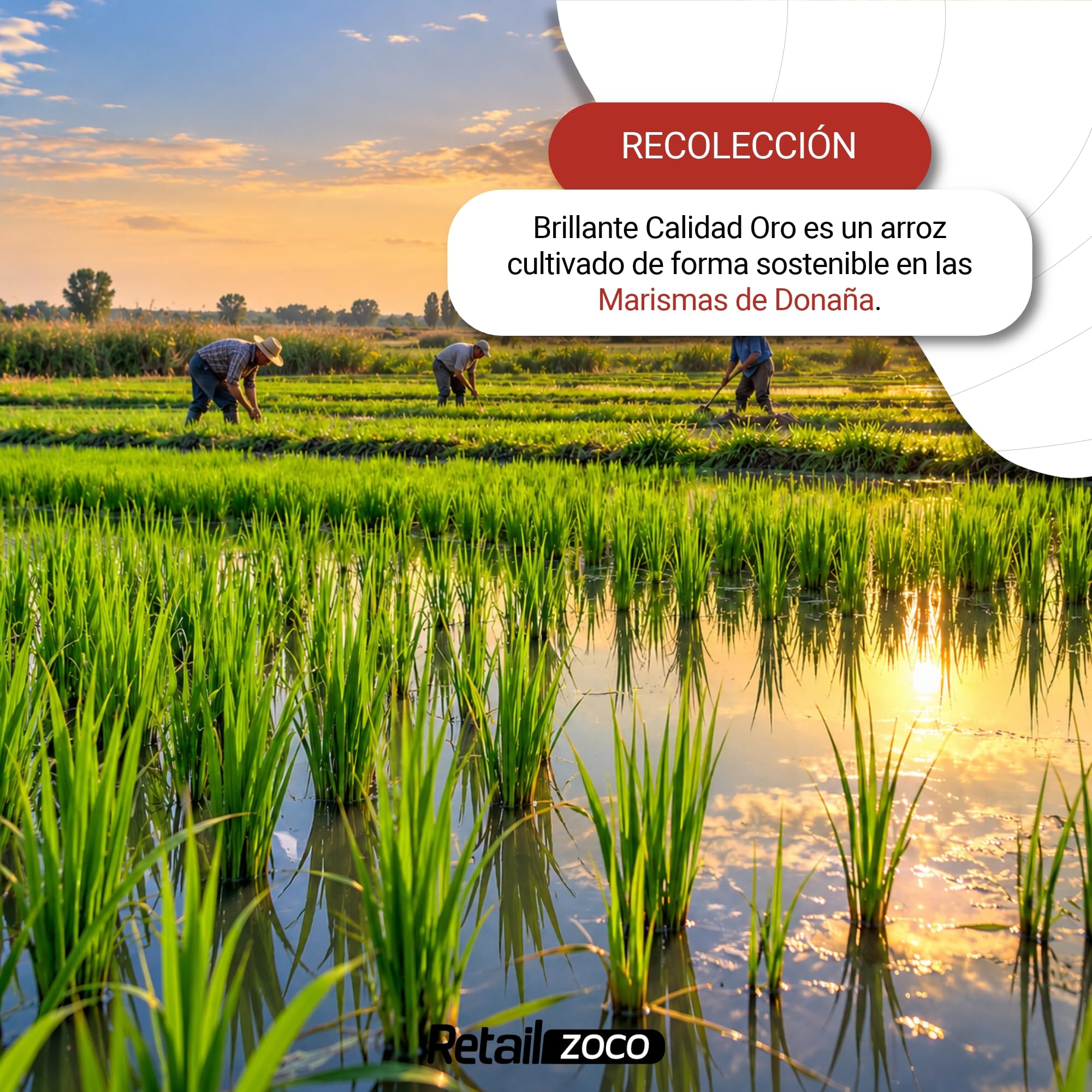 Brillante Arroz Largo Vaporizado, Grano Suelto |1 Unidad de 1 Kg - imagen 5