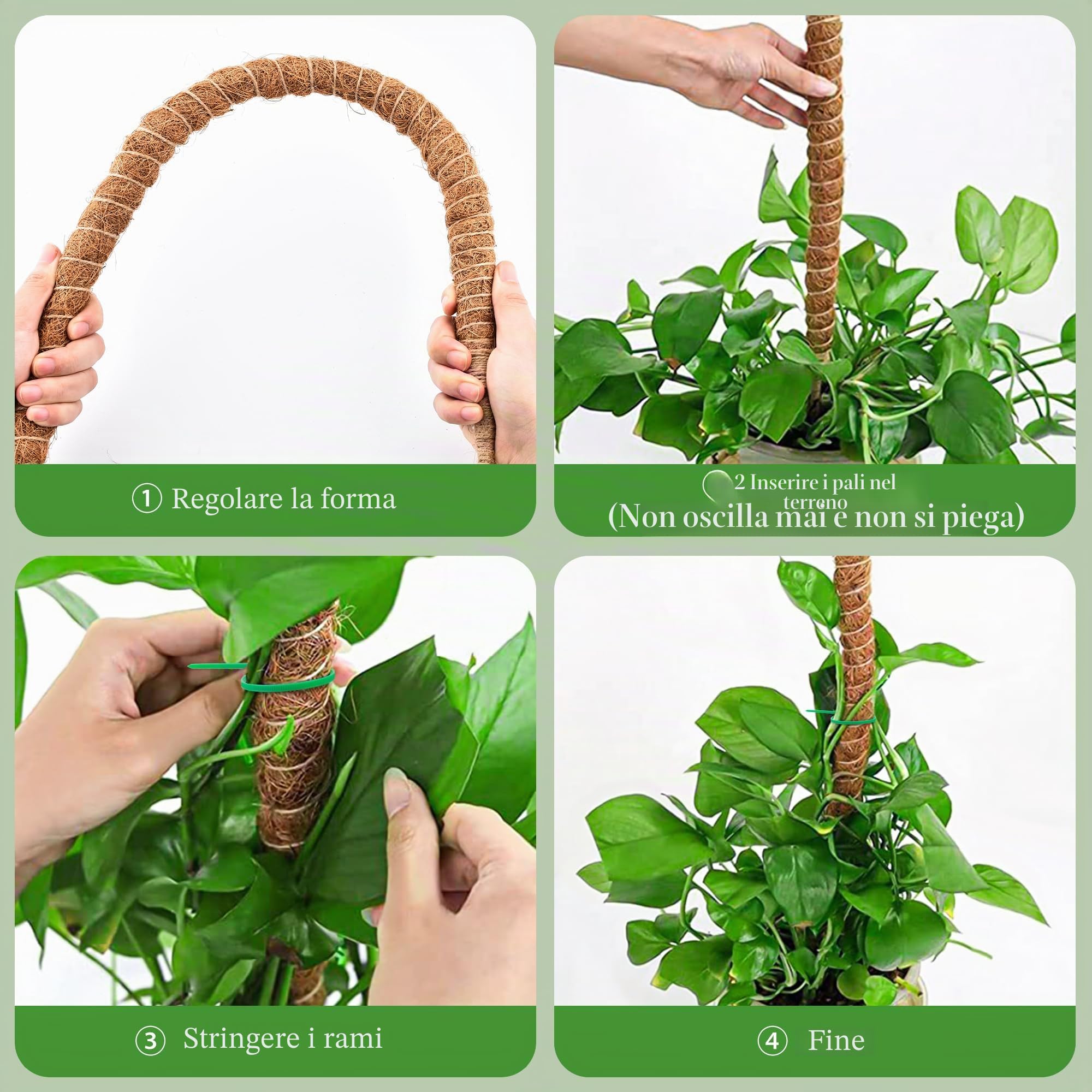 COZCLAM Palo di Muschio, 2Pezzi 160cm Tutore Piante, Palo in Fibra di Cocco per Piante Rampicanti, Pieghevoli Supporti per Piante, Supporto per Monstera per Piante Rampicanti che Crescono Verso l'alto