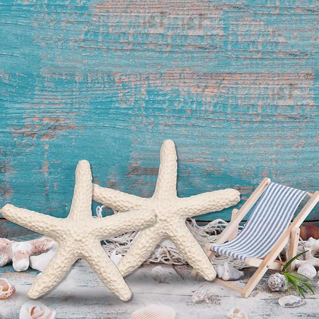 Foto 4 de 8 de Kopinma 15 Estrellas de mar Decorativas con lápiz lechoso para decoración de Bodas