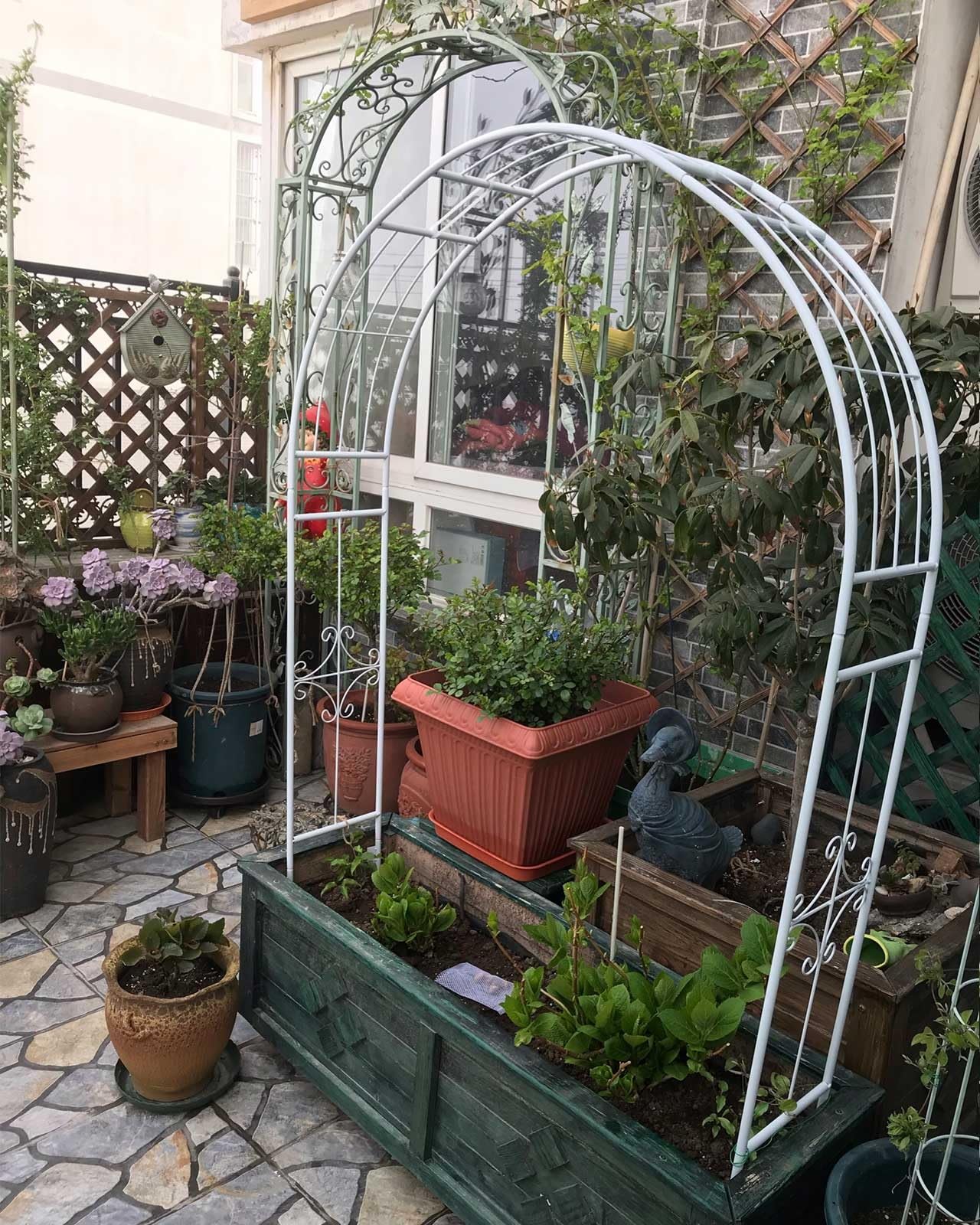 Arche de jardin en métal robuste et treillis décoratif pour rosiers grimpants