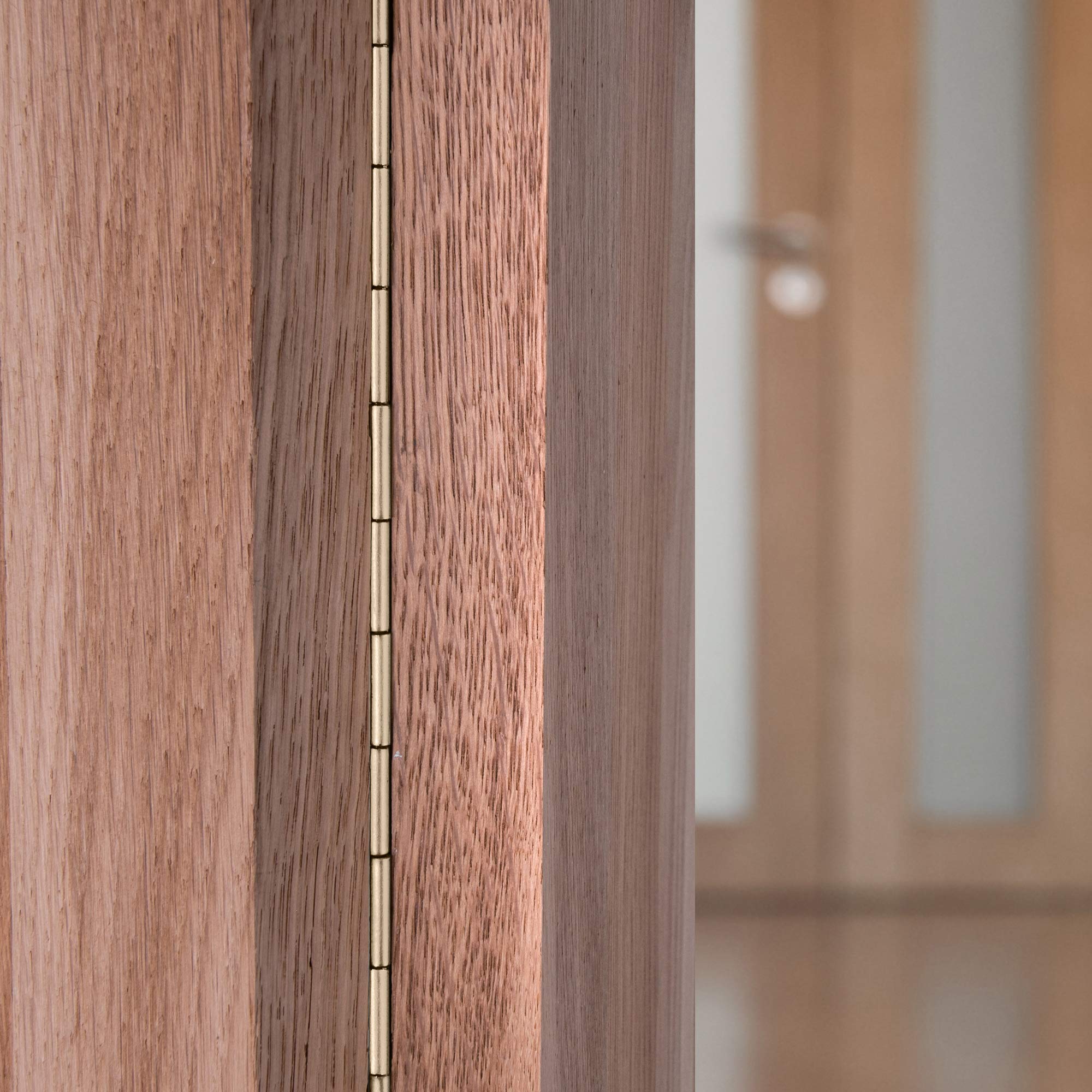 Gedotec bisagra de piano para atornillar | bisagra de puerta bisagra de puerta enrollada metal niquelado | 3500 x 40 mm | bisagra plegable robusta | plata maciza | bisagra de mueble taladrada | 1 pi