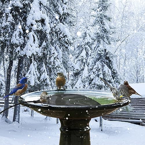 Miniatura 6 de JRAIYBZ Calentador de baño para pájaros, calentadores de baño de pájaros para exteriores en invierno, baño de pájaros calentado de 60 W con control