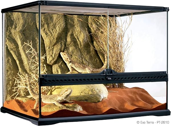 Exo Terra Terrarium aus Glas, mit einzigartiger Front Belüftung, 20 x 20 x 30cm - 5