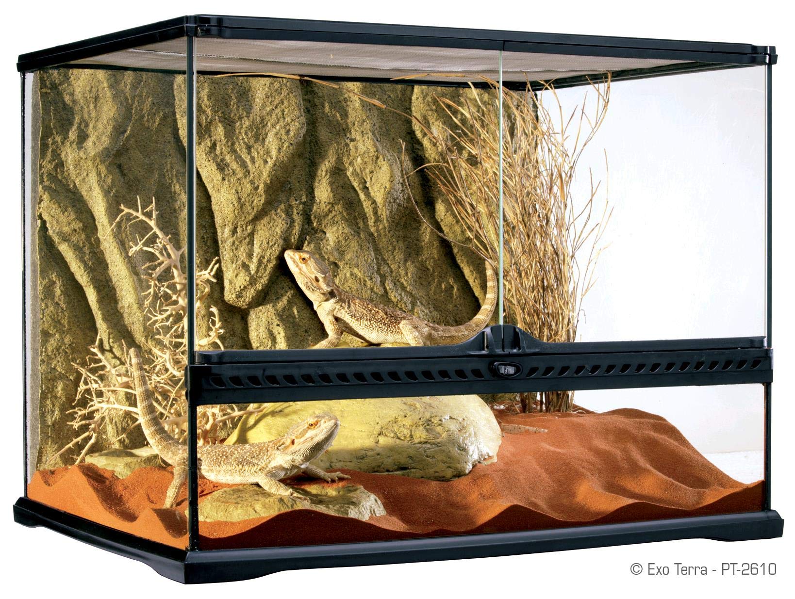 Exo Terra PT2610 Terrario in Vetro 60X45X45 Cm Inclusa Parete Posteriore