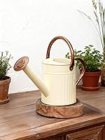 Bamworld 1/2 Gallon Stainless Steel Watering Can with Removable Spout - Leak-Proof Indoor Outdoor Plant Waterer Creamy Finish