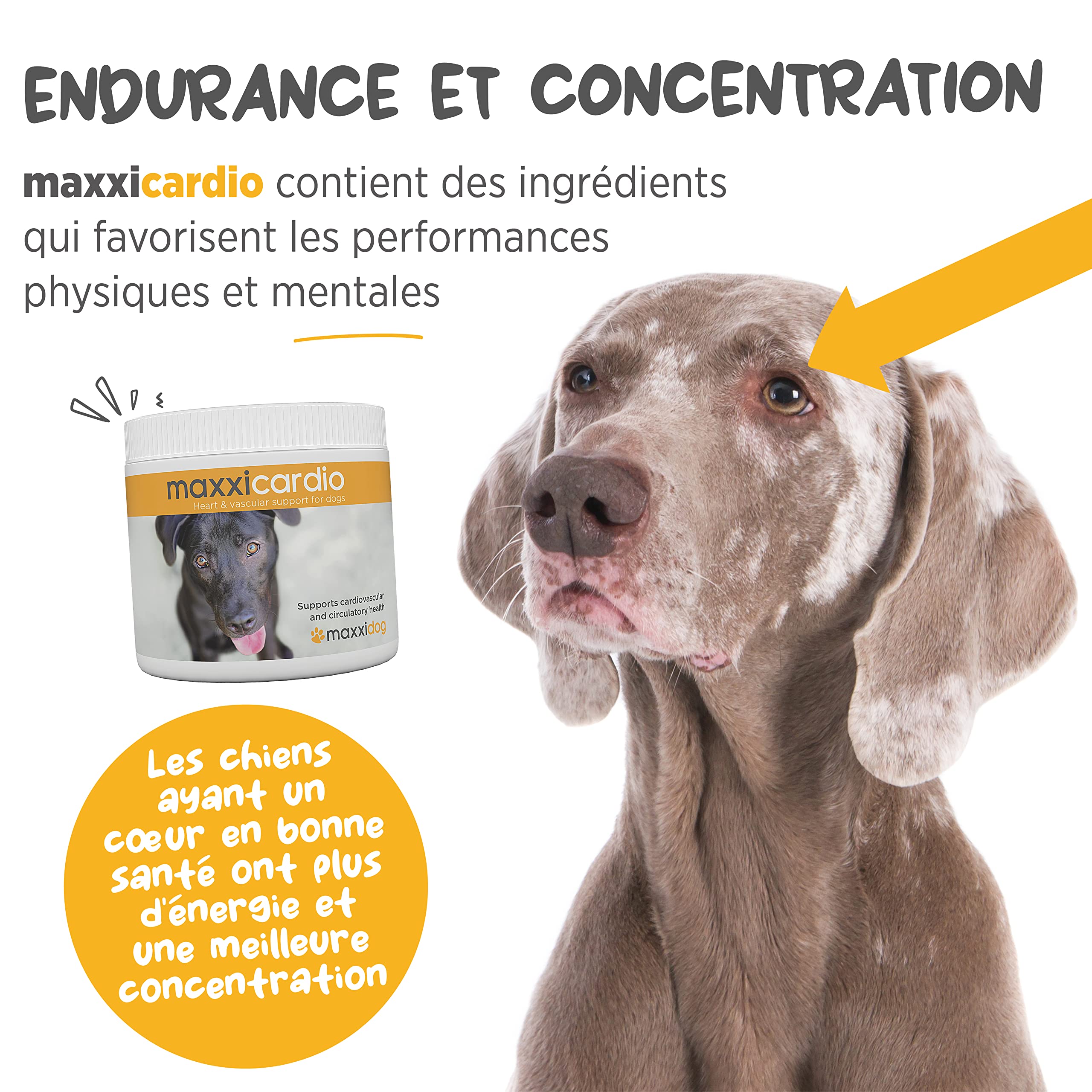 maxxipaws maxxicardio Soutien du Cœur et Cardiovasculaire - Complément Alimentaire pour Chiens, 150 g