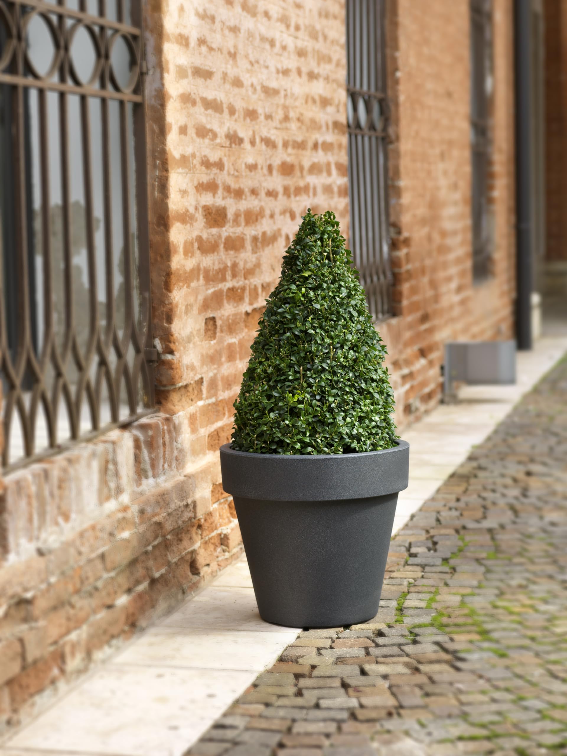 Tecnokit Tera Grand Pot en résine Standard One, Pot pour extérieur et intérieur, Technique de Rotation, Pots pour Plantes et Arbres, résistant aux UV, résistant au Gel, (Antracite, 80 cm)