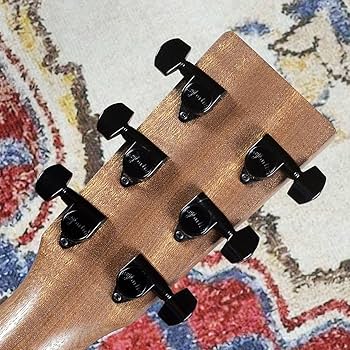 Amazon | Martin GPC-11E Custom エレアコギター マーチン | スチール