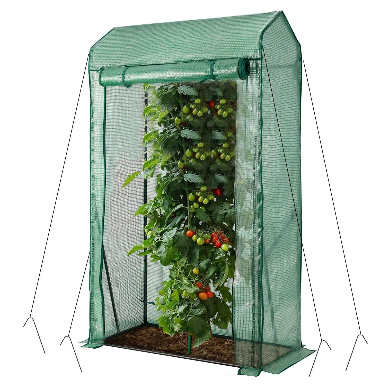 TANGZON Garden Greenhouse, Portable Grow house with Steel Frame and Reinforced PE Cover, Indoor Outdoor Plants Flowers Herbs Grow Shed for Lawn Patio Balcony (with Roll Up Door, 110 x 60 x 170cm)