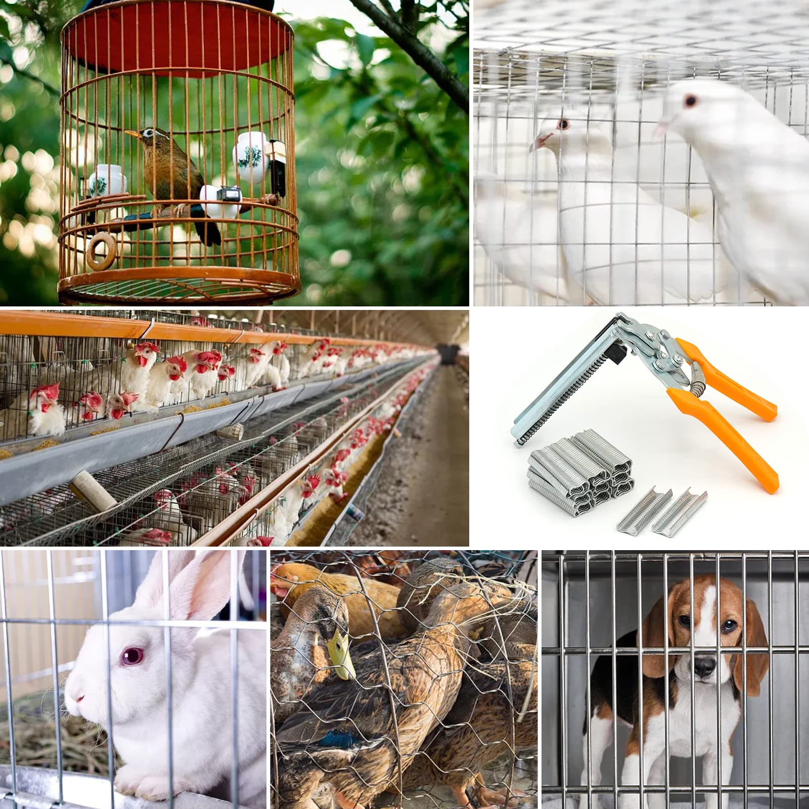 Kit di Pinze ad Anello per Chiodi di Maiale di Tipo M con 2400pz M Clips, Pinza per il Fissaggio di Gabbie Metalliche per il Fissaggio di Recinzioni, Installazione di Tappezzerie, Gabbie per Animali