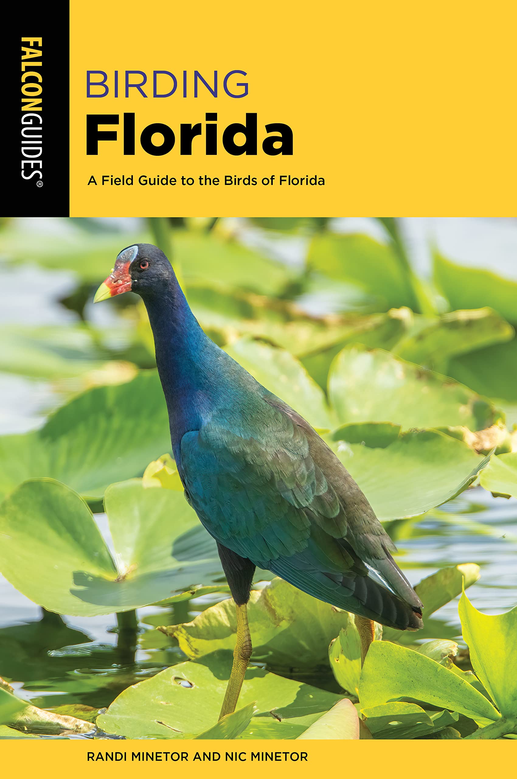 Snapklik.com : Birding Florida: A Field Guide To The Birds Of Florida