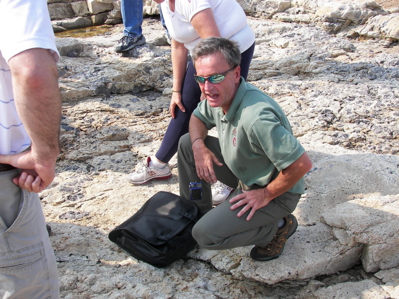 Amazon.com: John Ratti: books, biography, latest update