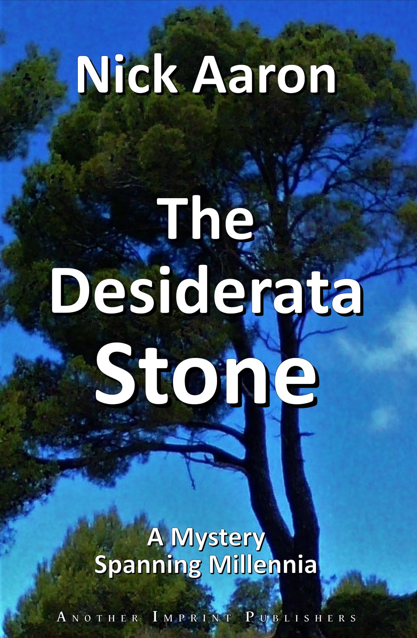 The Desiderata Stone (The Blind Sleuth Mysteries Book 6)