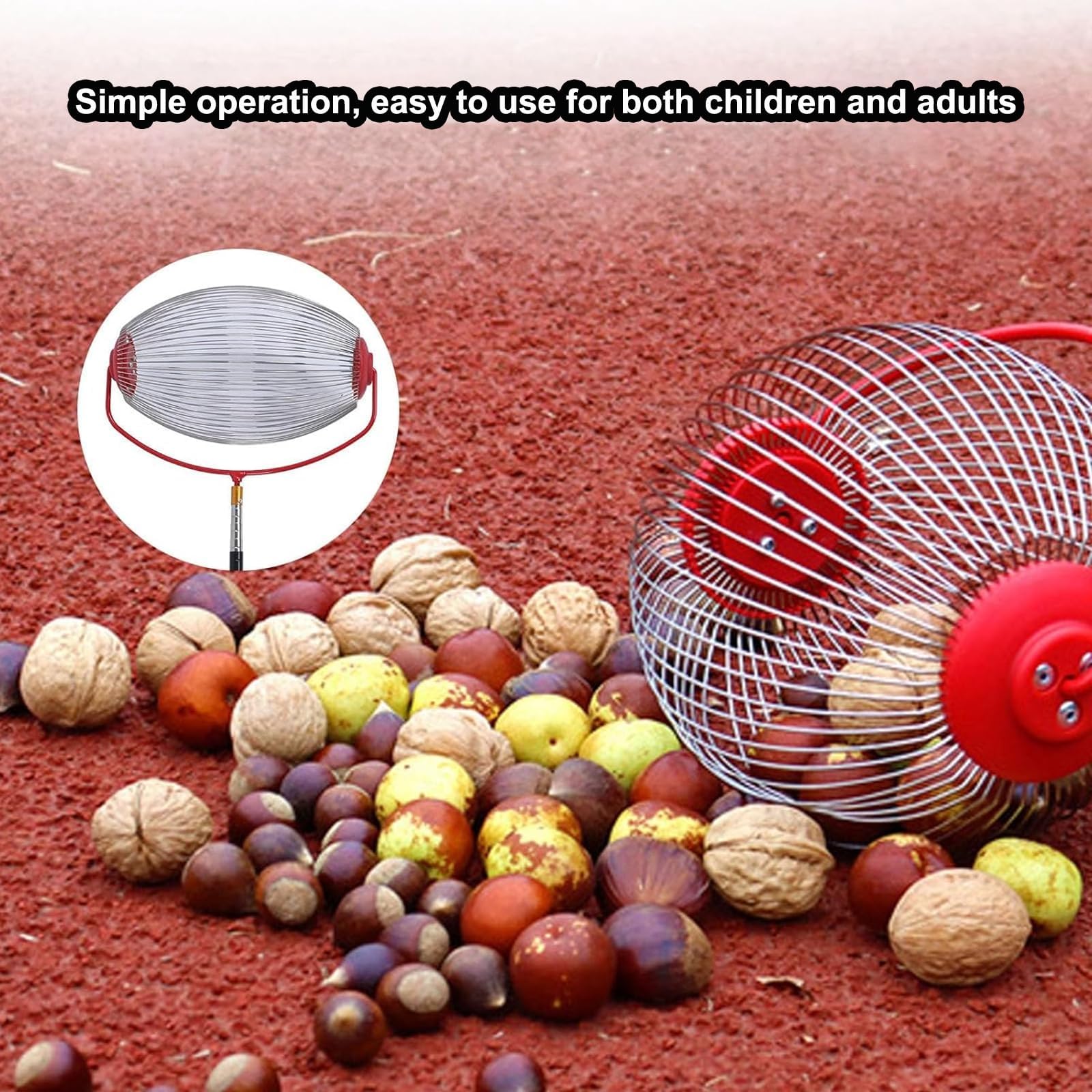 Rodillo superior recogedor de bellotas – Colector de nueces portátil ligero con mango largo ajustable para una fácil recogida de bellotas, castañas, nueces y bolas