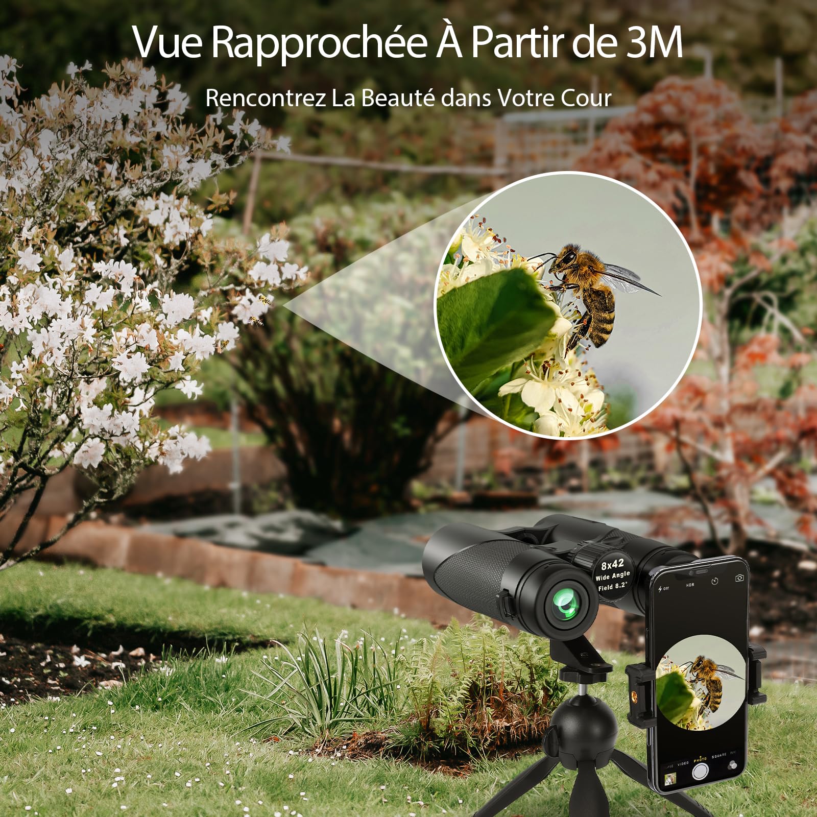 Jumelles Adultes Puissante Astronomiques Etanche: Timorn Jumelles Compactes Puissantes Grand Vue avec Adaptateur Téléphonique Trépied - 8x42 HD Jumelle Observation Oiseaux pour Chasse Randonnee | Lentilles FMC pour une Image Claire et Nette, Large Champ d