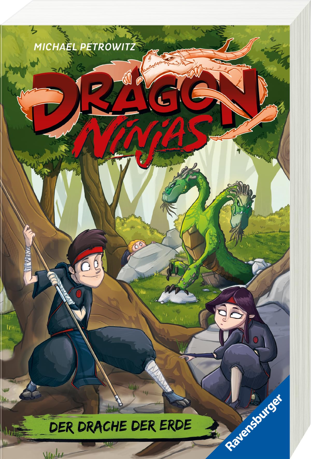 Dragon Ninjas, Band 4 - Der Drache der Erde