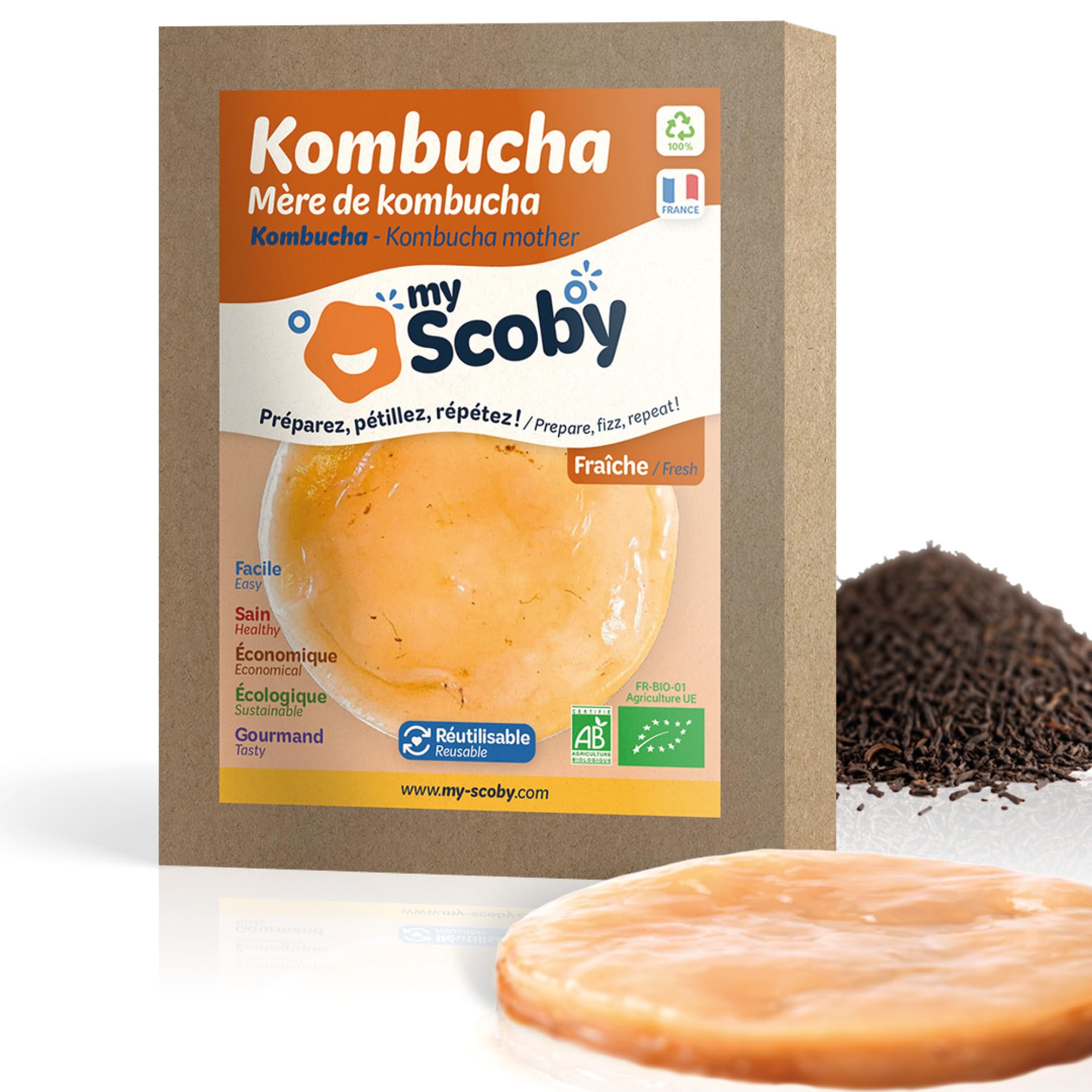 BIO Scoby di kombucha - Fresco - Riutilizzabile - Starter incluso - Controllato - Ricetta completa inclusa