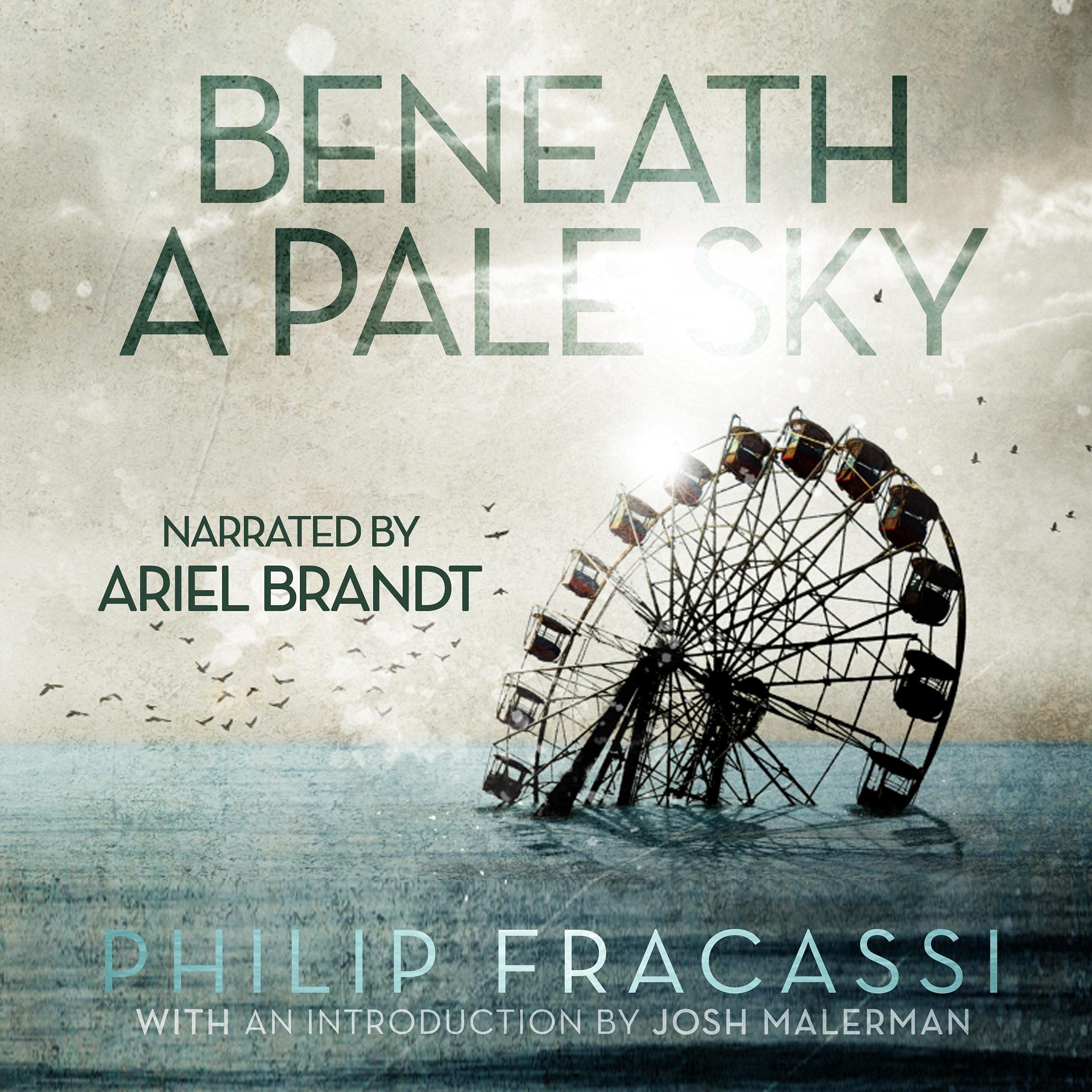 Cover art for Beneath a Pale Sky
