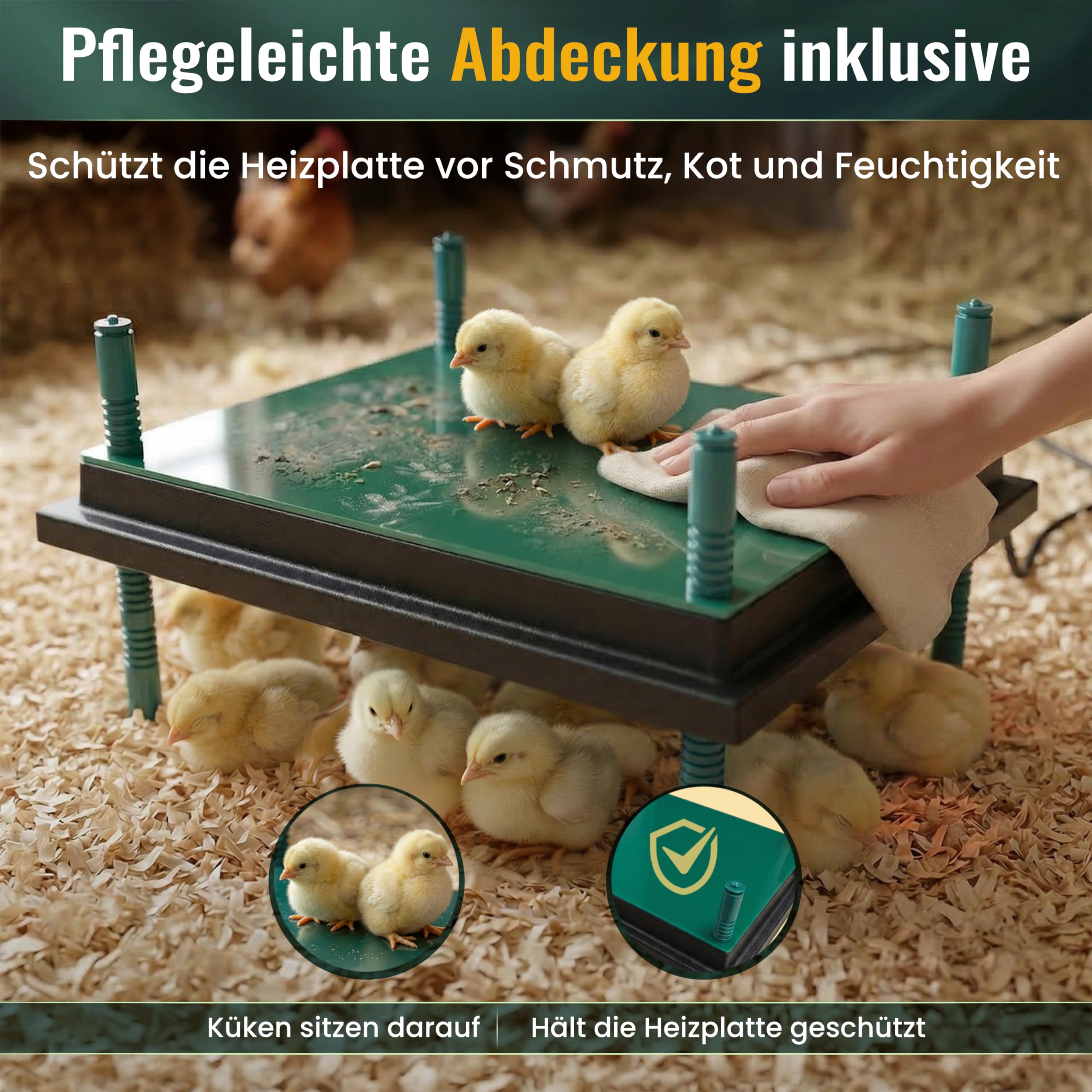 Dural's Küken-Wärmeplatte (30x40 cm) | Bis zu 30 Küken | Professionelle Heizplatte für die Aufzucht | Inkl. E-Book