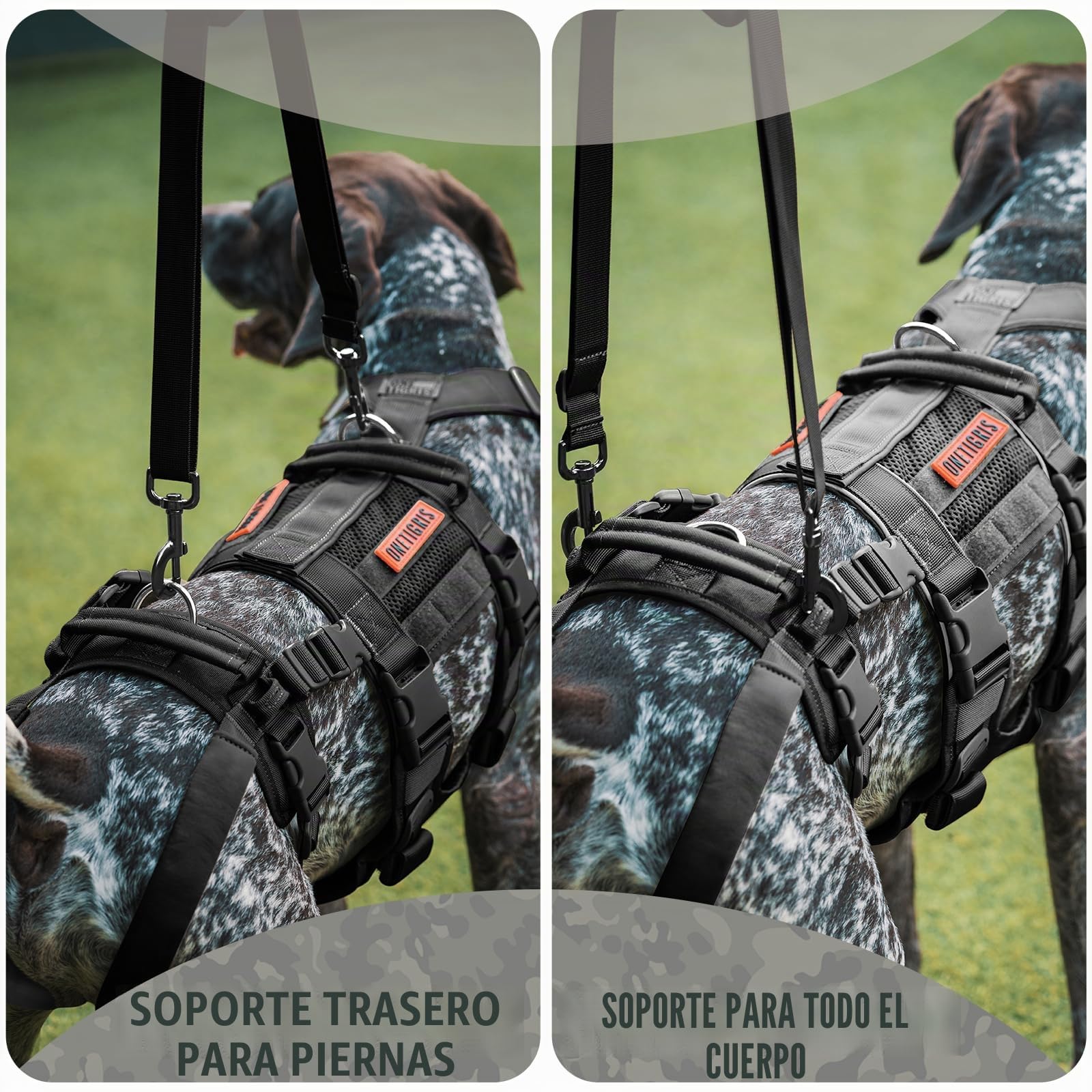 OneTigris SKYEWALKER - Arnés para perros ajustable con 2 asas para elevación y rehabilitación, adecuado para perros medianos y grandes, negro, M
