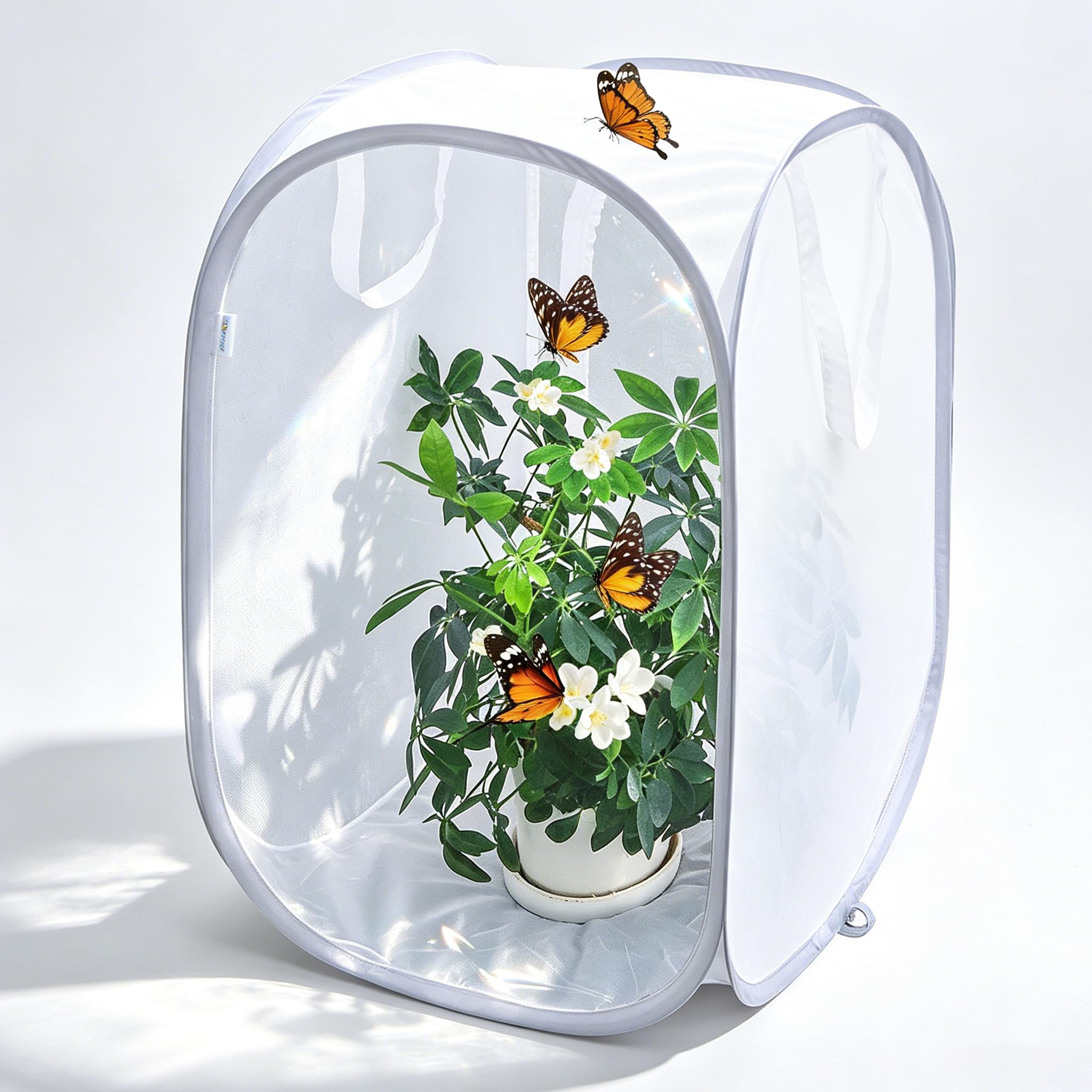 Küçük kelebek Habitat böcek örgü kafes Bug teraryum taşınabilir taşıma kolu Crit