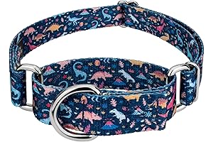 Country Brook Martingale Dog Collar: The Ultimate Canine Accessory