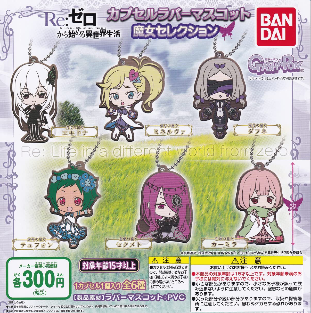 Amazon.com: Re:Zero - Starting Life in Another World Capsule