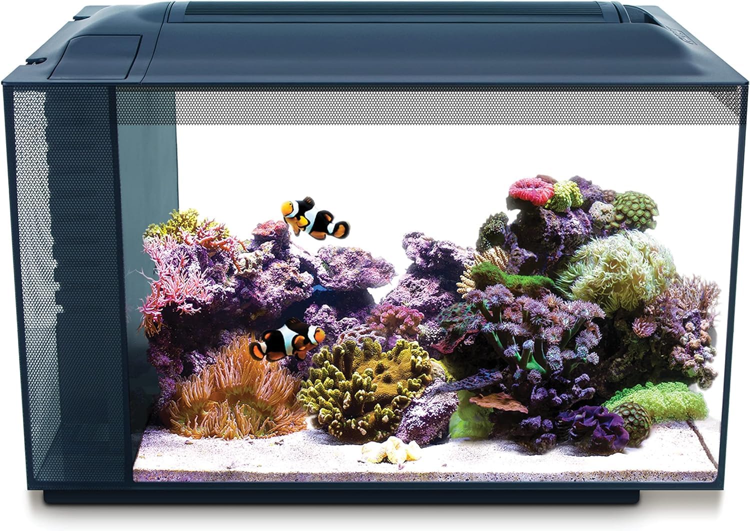 Fluval Evo Acuario Marino, Negro, 52 L