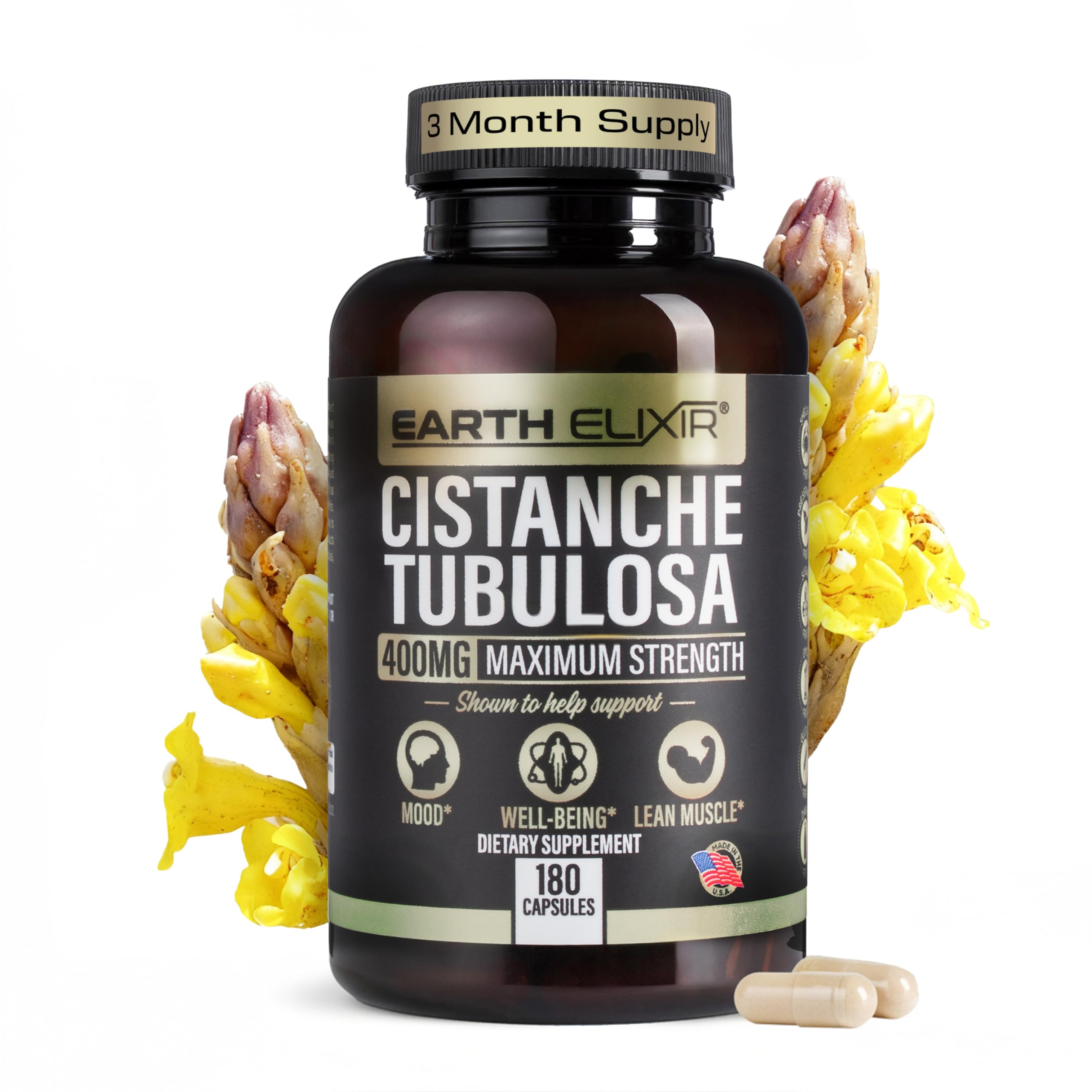 Earth Elixir Cistanche Supplement for Men & Women – Potent Cistanche Tubulosa Extract Capsules for Daily Vitality, Strength & Performance Support – Made in USA, 3rd Party Tested & 3 Month Supply