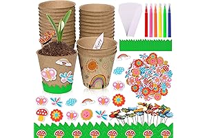 Crayola Paper Flower Science Kit