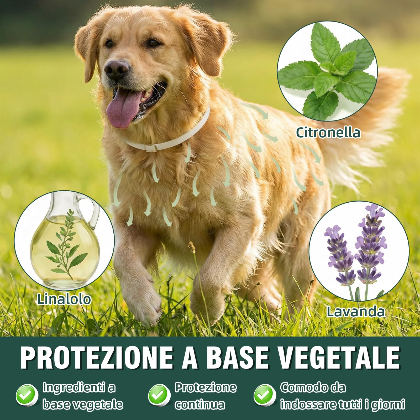 Collare Antiparassitario per Cani 65cm con Oli Essenziali di Citronella e Lavanda, Collare Antipulci Cane Naturale contro Pulci e Zecche, Adatto per Cani di Media e Grande Taglia - 5