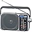 Panasonic Portable AM / FM Radio, Battery Operated Analog Radio, AC Powered, Silver (RF-2400D)